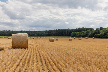 hay bales in the field in autumn with cloudy sky