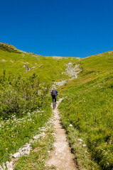 Ftan, Alp Laret, Wanderweg, Wanderer, via Engiadina, Bergwiesen, Alm, Alpen, Schweizer Berge, Unterengadin, Graub&uuml;nden, Sommer, Schweiz