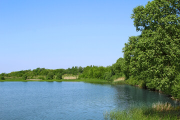 Summer wide lake under the blue sky.