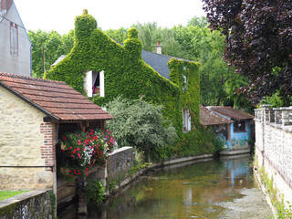 bucolic view of an ivy-covered house near a small river