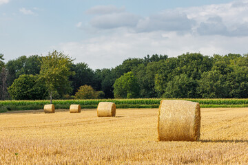 hay bales in the field in the background green trees and a blue and cloudy sky
