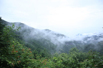 nature in Hinohara village  ,japan,tokyo