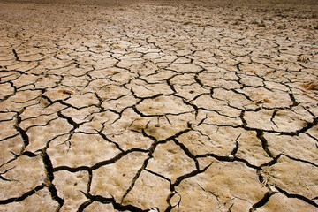Cracks on the soil during a drought
