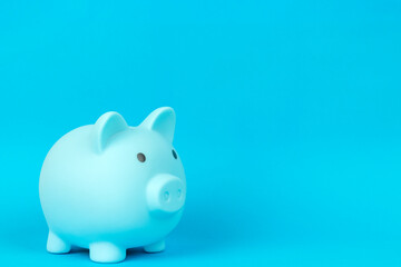 piggy bank in the form of a pig on a blue background	