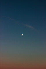 moon in the sky