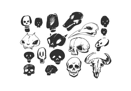 Hand drawn vector abstract artistic freehand textured ink Halloween design elements animals and human skulls collection set isolated on white background.