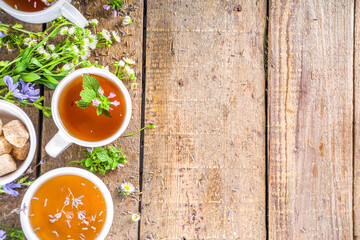 Different herbal tea set. Various  cups with organic herbal, flower tea - camomile, chicory, melissa mint, lavender. Organic natural drinks concept. Health and immunity care beverages