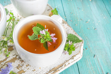 Different herbal tea set. Various  cups with organic herbal, flower tea - camomile, chicory, melissa mint, lavender. Organic natural drinks concept. Health and immunity care beverages