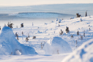 Snowy field during a winter blizzard on a hillside in Riisitunturi National Park, Northern Finland. 