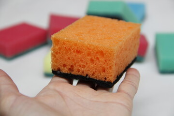 sponge in hand