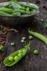 Harvest of ripe pods of green peas. Green peas in stitches in a metal bowl on a wooden natural background. Fresh green peas pods on a wooden board