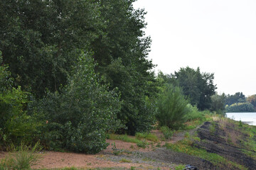 Trees, fields, grass, river collection