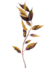 Autumn yellow and burgundy branch. Dried tree frond. Watercolour illustration isolated on white background.