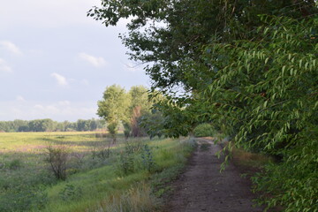Trees, fields, grass, river collection
