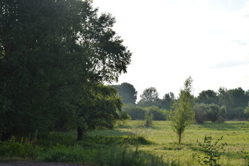 Trees, fields, grass, river collection