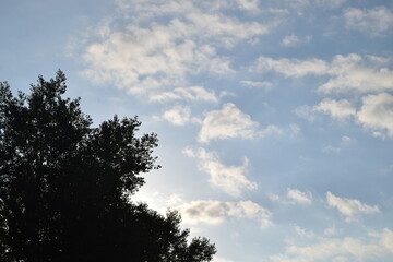 Trees, fields, grass, river collection