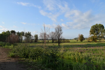 Trees, fields, grass, river collection