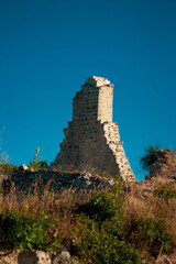 castle tower in the forest