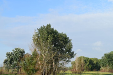 Trees, fields, grass, river collection