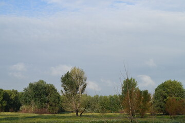 Trees, fields, grass, river collection