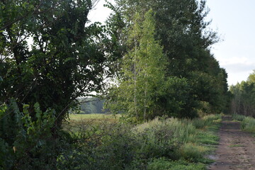 Trees, fields, grass, river collection