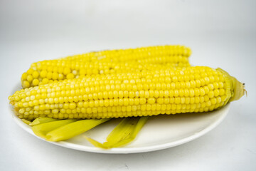 boiled sweet corn on a white plate