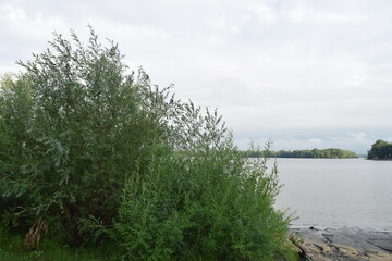 Trees, fields, grass, river collection