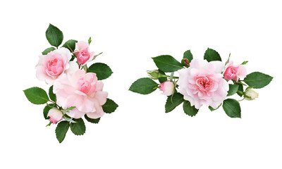 Set of pink rose flowers and green leaves in a floral arrangements