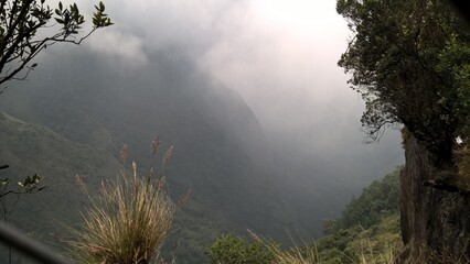 misty morning in the mountains