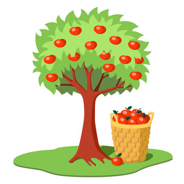 Cartoon colorful apple tree with red apples with a basket full of apples underneath. Apple harvest. Cartoon vector illustration isolated on white background.
