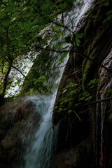 waterfall in the forest