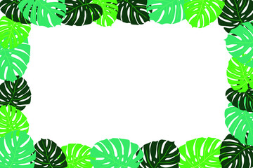 Rectangular frame of palm leaves, flat summer vector