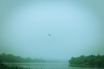 misty morning on the lake