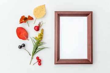 Autumn floral composition. Vertical frame mockup chokeberry rowan berries colorful leaves dogrose flowers on white background. Fall natural plants ecology concept. Flat lay top view, copy space