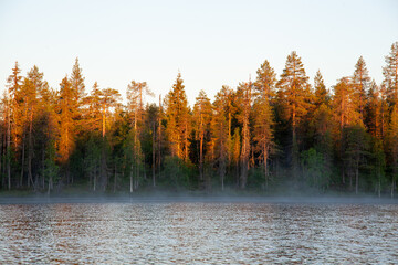 Morning sunrise by the lake between northern taiga forest with fog in Finnish Nature. 