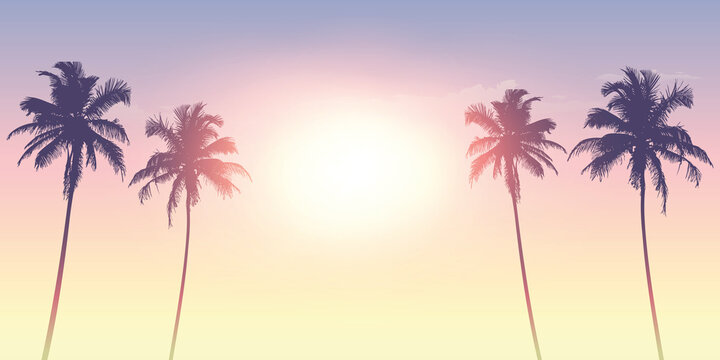 palm trees silhouette on a sunny day summer holiday design vector illustration EPS10