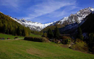 Fototapeta na wymiar Adleralm in Südtirol