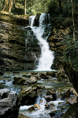 Fototapeta premium Mountain River and and rocks covered with moss in the Wood, Jenbach Waterfalls