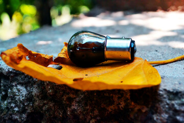 autumn leaves on the table