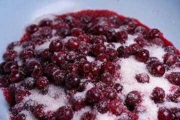 Cherry jam preparation. Cherries sprinkled with sugar