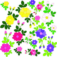A set of pink, white, yellow, purple flowers and green leaves