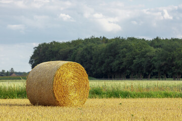 Hay bale in stubble field in the background green trees and cloudy sky