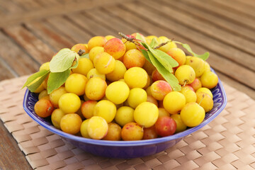 Mirabelles 6