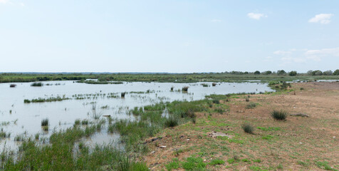 Fototapeta na wymiar Wetlands in S'albufera, in this area, from various observation platforms, you have incredible views of the park, the Sierra de Tramuntana and you can observe birds among the vegetation.