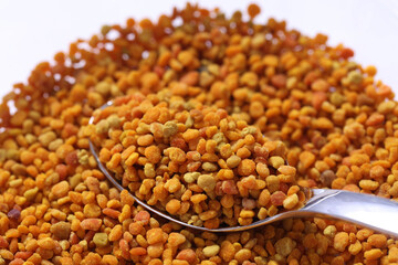 Propolis Blütenpollen Bienen