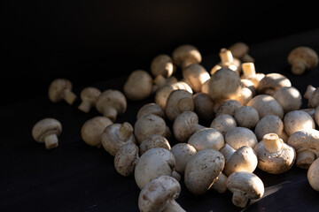 Mushrooms on a wooden background in the rays of the sun