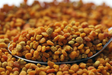 Propolis Blütenpollen Bienen