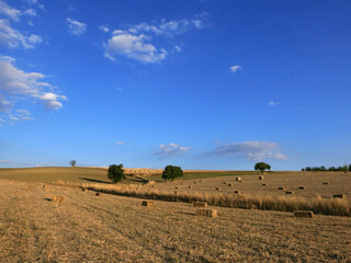 Obraz premium Paesaggio rurale