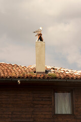 chimney on roof