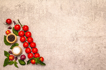 Ripe cherry tomatoes, garlic, basil, salt and black peppercorns on a stone culinary background